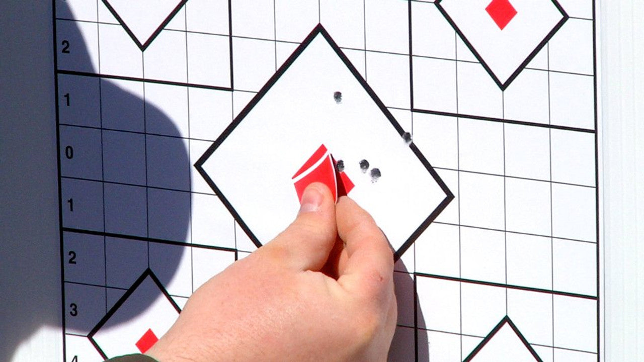 BIRCHWOOD Stickabull TARGETS 5PCK