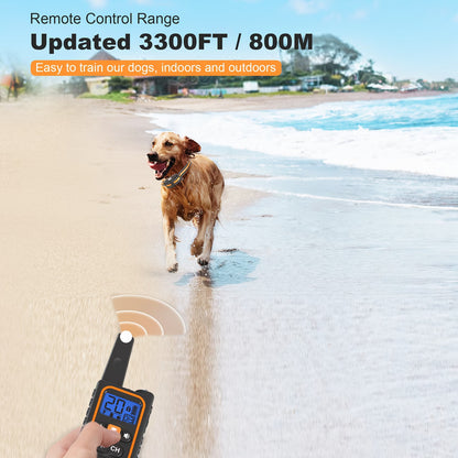 Dog Training Collar