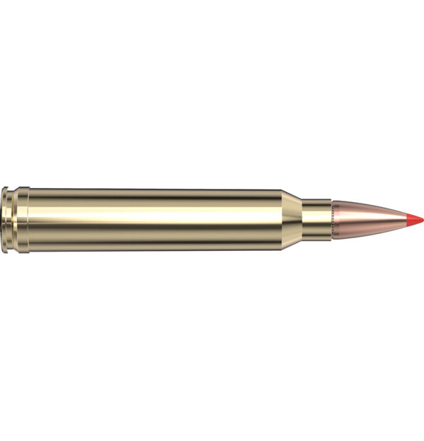 Hornady 300wm(180) Super Perf Sst Per 20
