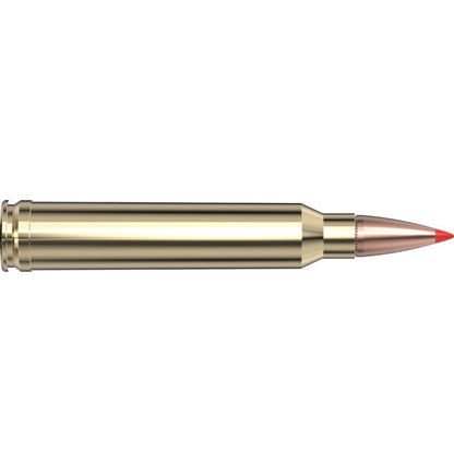 Hornady 300wm(180) Super Perf Sst Per 20