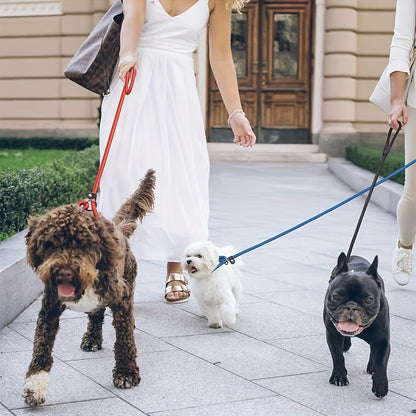 Dog Lead