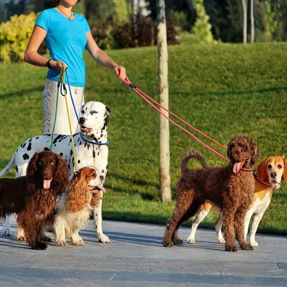 Dog Lead
